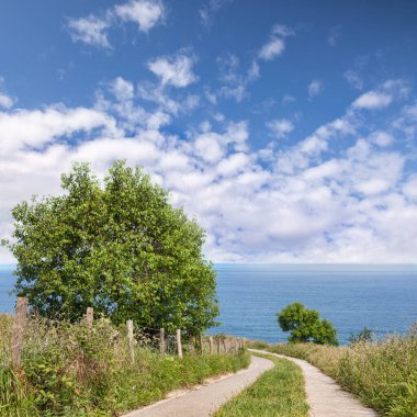 Bask Ülkesi'nde denize, genel manzaraya veya deniz manzarasına giden yol, İspanya.