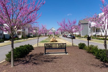 Banliyö evleri sokağı