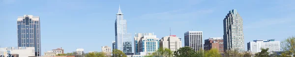 Panorama över downtown Raleigh, Nc — Stockfoto