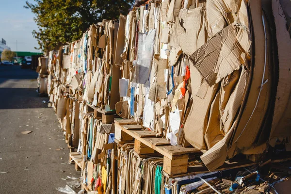 Ponto de recolha de resíduos de papel. Racks com caixas dobradas — Fotografia de Stock