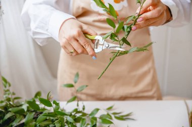 Önlüklü genç bir esmer kadın çiçekçi atölyesinde buket oluşturmaya başlamadan önce yaprakları gövdesinden kesiyor.