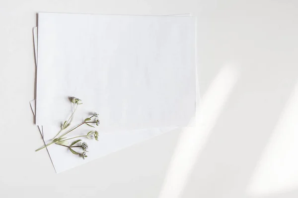 White blank envelopes with a small wild flower on a white background with light highlights. Top view. High quality photo