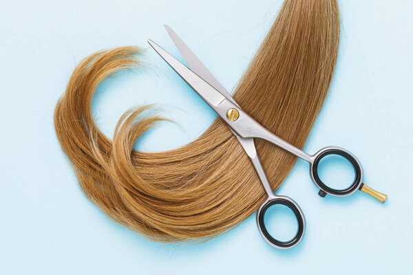 Scissors and female hair of light brown color on a blue background, top view. Hairdressing concept.