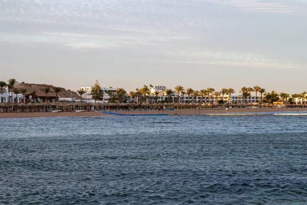 Sharm Sheikh Egipt Stycznia 2021 Plaża Hotelu Albatros Palace Sharm — Zdjęcie stockowe