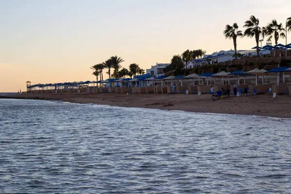 Sharm Sheikh Egipt Stycznia 2021 Plaża Hotelu Albatros Palace Sharm — Zdjęcie stockowe