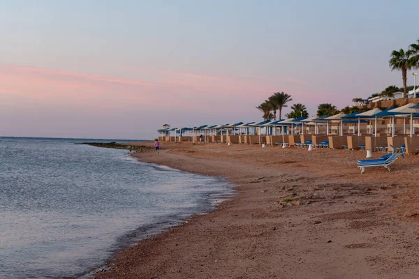 Sharm Sheikh Egipt Stycznia 2021 Plaża Hotelu Albatros Palace Sharm — Zdjęcie stockowe