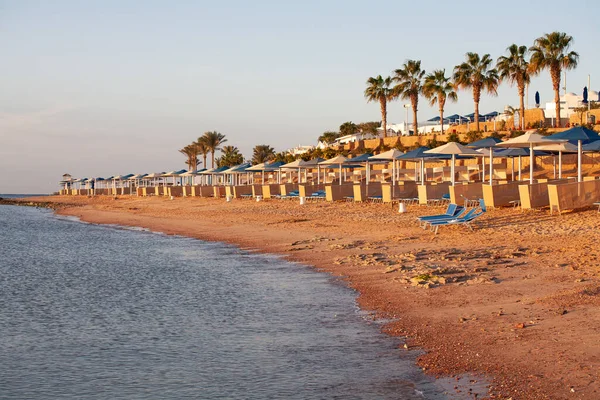 Sharm Sheikh Egipt Stycznia 2021 Plaża Hotelu Albatros Palace Sharm — Zdjęcie stockowe