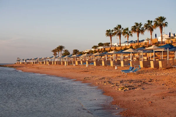 Sharm Sheikh Egipt Stycznia 2021 Plaża Hotelu Albatros Palace Sharm — Zdjęcie stockowe