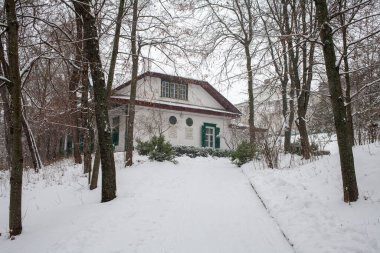 Kamianka, Cherkasy Oblastı, Ukrayna - 30 Ocak 2021: 