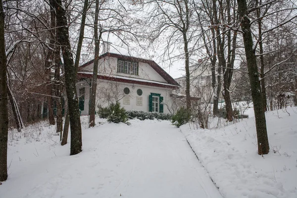 Kamianka Oblast Tscherkasy Ukraine Januar 2021 Gewächshaus Davydov Gutshaus — Stockfoto