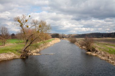 Chyhyryn yakınlarındaki Tyasmyn nehri, Çerkasya bölgesi, Ukrayna