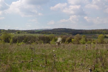İlkbaharda Ukrayna kırsal arazisi