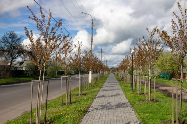 Kamyanka, Ukrayna - 10 Mayıs 2023: Kamyanka şehrinde Sakura sokağı 