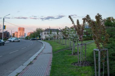 Cherkasy, Ukrayna - 14 Mayıs 2021: Sakura Gagarina Caddesi