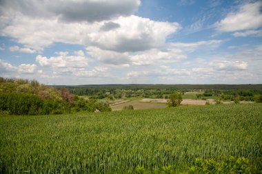 İlkbaharda Ukrayna manzarası