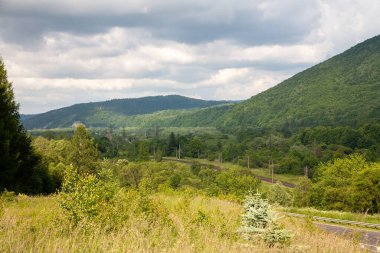 Yaz güneşli bir günde Karpat Dağları Panoraması
