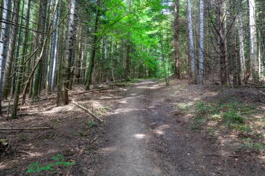 Skole Beskids Ulusal Doğa Parkı