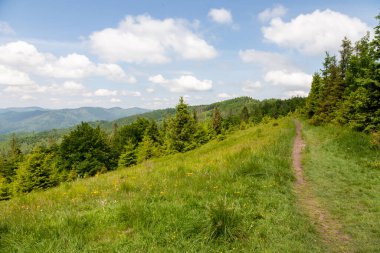 Picturesque panoramic mountain view. Bright sunlight, spring greens of forests and meadows