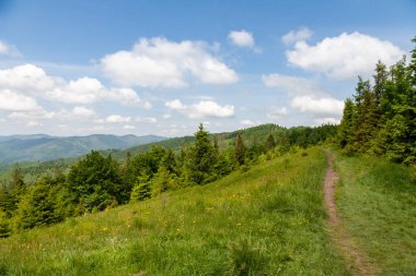 Picturesque panoramic mountain view. Bright sunlight, spring greens of forests and meadows