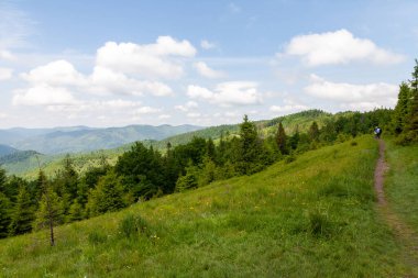 Karpat Dağları 'nın panoraması, çiçek açan yaz çayırları, mavi dağlar ve gökyüzünde beyaz bulutlar. Yazın Panorama 'sı Karpatlar, Beskids bölgesi, Parashka