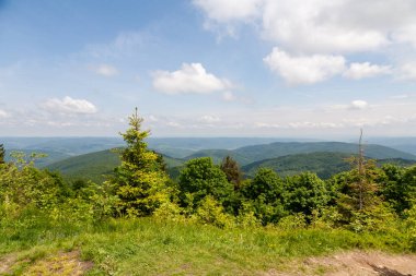 Karpat Dağları 'nın panoraması, çiçek açan yaz çayırları, mavi dağlar ve gökyüzünde beyaz bulutlar. Yazın Panorama 'sı Karpatlar, Beskids bölgesi, Parashka