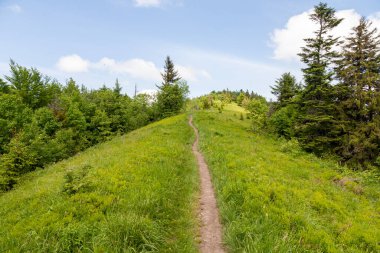 Picturesque panoramic mountain view. Bright sunlight, spring greens of forests and meadows