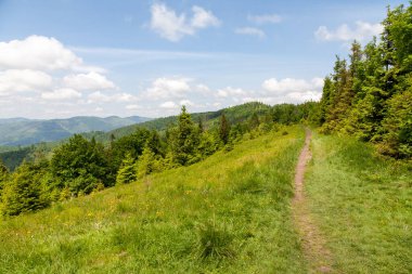 Picturesque panoramic mountain view. Bright sunlight, spring greens of forests and meadows