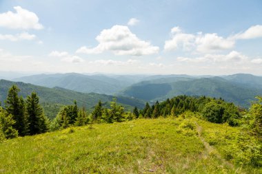 Yaz güneşli bir günde Karpat Dağları Panoraması