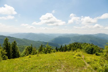 Yaz güneşli bir günde Karpat Dağları Panoraması