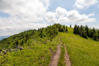 İnanılmaz dağ manzarası: bulutlu blu gökyüzü, yeşil ağaçlar ve turistik yol