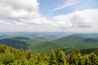 Yaz güneşli bir günde Karpat Dağları Panoraması