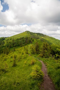 Yaz güneşli bir günde Karpat Dağları Panoraması