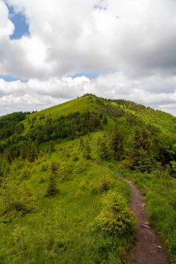 Yaz güneşli bir günde Karpat Dağları Panoraması
