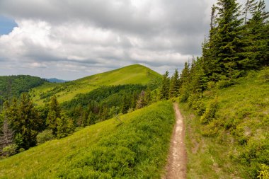 Yaz güneşli bir günde Karpat Dağları Panoraması