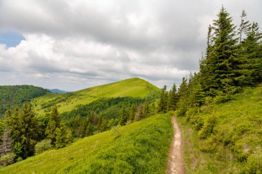 Skole, Ukrayna - 20 Haziran 2021: Skole Beskids 'daki Parashka Dağı zirvesi
