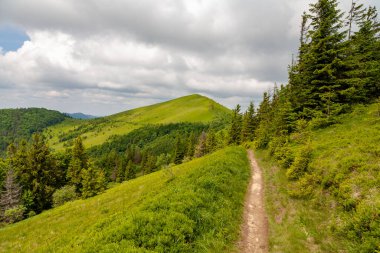 Skole, Ukrayna - 20 Haziran 2021: Skole Beskids 'daki Parashka Dağı zirvesi