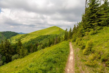 Skole, Ukrayna - 20 Haziran 2021: Skole Beskids 'daki Parashka Dağı zirvesi