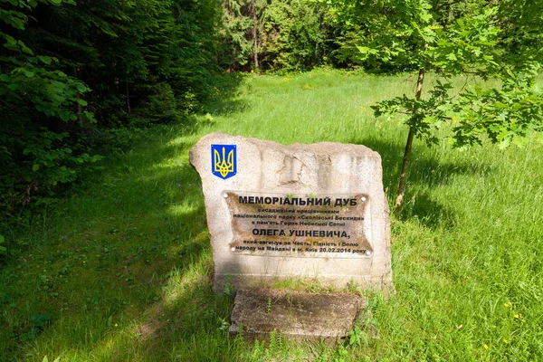乌克兰 Skole 2021年6月19日 英雄纪念碑 — 图库照片