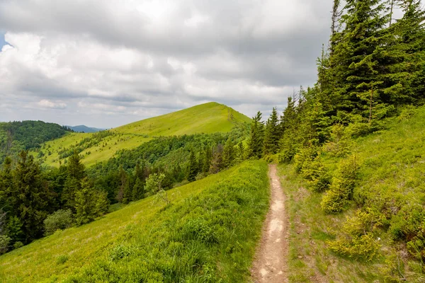 Skole Oekraïne Juni 2021 Bergtop Parashka Skole Beskids — Stockfoto