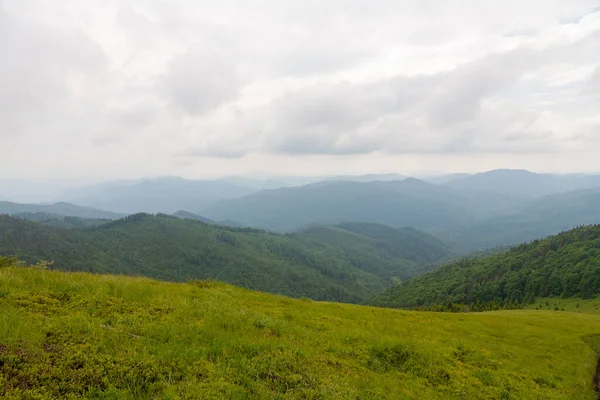 stock image Skole, Ukraine - June 20, 2021: The peak of mountain Parashka in Skole Beskids