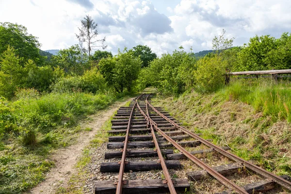 Korostiv Ucrania Junio 2021 Ferrocarril Vía Estrecha Korostiv — Foto de Stock