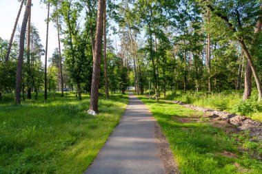 Şehirdeki yaz parkı.