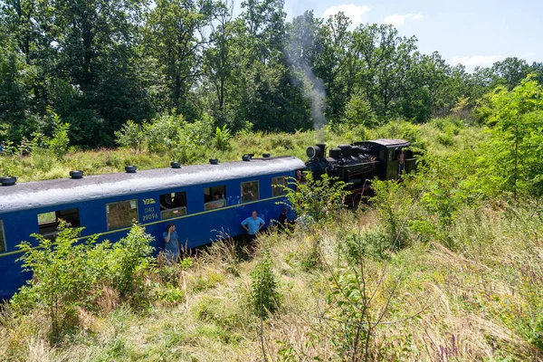 ウクライナ ハイヴォロン 2021年7月10日 旧蒸気機関車Gr 280がハイヴォロン駅付近 — ストック写真