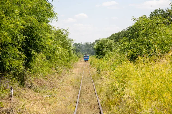 Haivoron Ucrania Julio 2021 Locomotora Vía Estrecha Tu2 Estación Ferrocarril — Foto de Stock