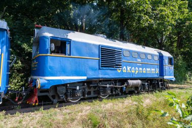 Uzhhorod, Ukrayna - 15 Ağustos 2021: Uzhhorod 'daki çocuk demiryolu üzerinde dar ölçü lokomotifi TU2