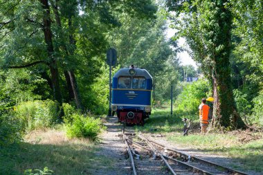 Uzhhorod, Ukrayna - 15 Ağustos 2021: Uzhhorod kentindeki şehir merkezi parkındaki çocuklar için demiryolu