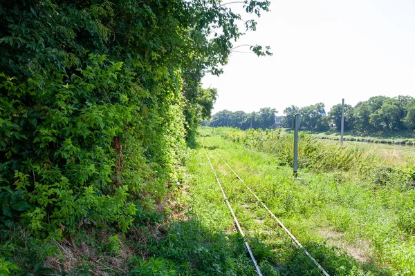 Uzhhorod Ucrania Agosto 2021 Ferrocarril Para Niños Parque Central Ciudad — Foto de Stock