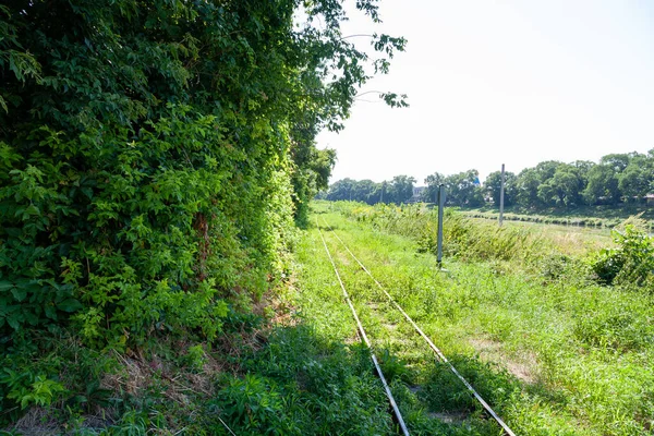 Uzhhorod Ucrania Agosto 2021 Ferrocarril Para Niños Parque Central Ciudad — Foto de Stock