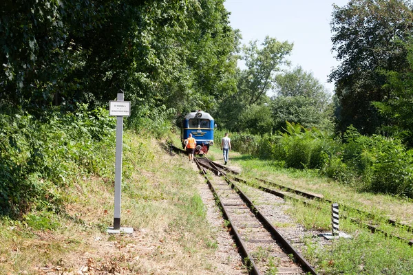 ウズホルト ウクライナ 2021年8月15日 ウズホルトの子供鉄道上の狭軌機関車Tu2 — ストック写真