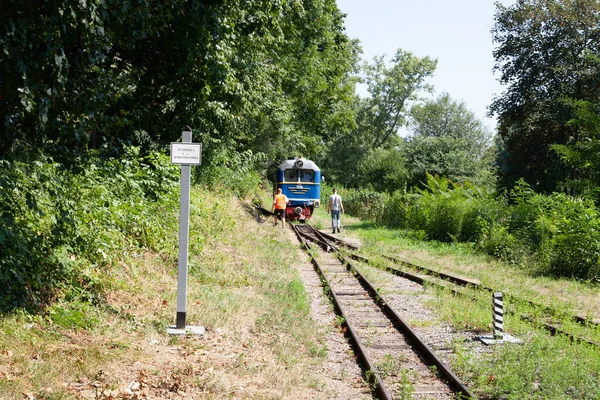 ウズホロド ウクライナ 2021年8月15日 ウズホロド市の市内中心部公園の子供のための鉄道 — ストック写真